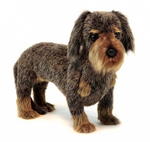 Мягкая игрушка - Такса жесткошерстная, 34 см. (Hansa, 6325)